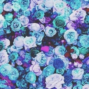 Meet your Posher, Sage. s